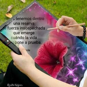 Meet your Posher, Beatriz